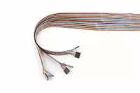 PTC064-2xx20-1x24DIL Cable Assembly